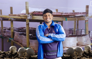 In Kanpur district, a small mushroom unit runs on controlled temperatures and trial