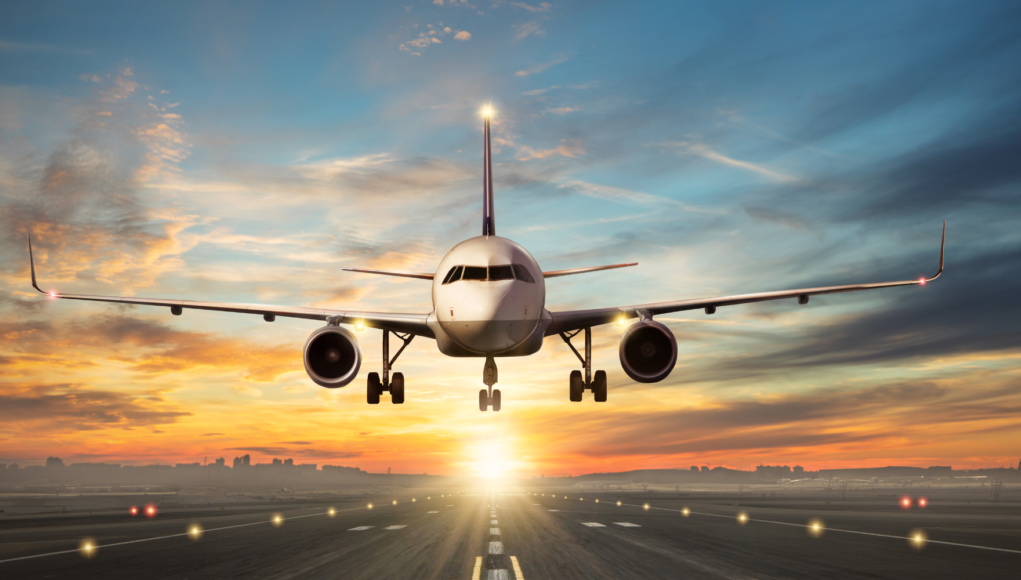 Why India has only two major airlines: A case study