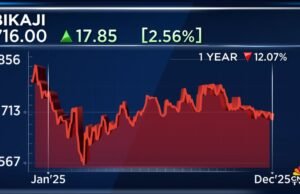 Bikaji Foods Q3 Results | Net profit more than doubles to ₹62.6 cr, margins swell