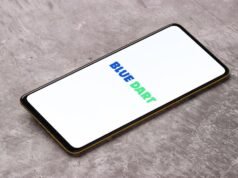 Blue Dart Q3 profit dips on one-time charge, revenue up 7%, margins rise