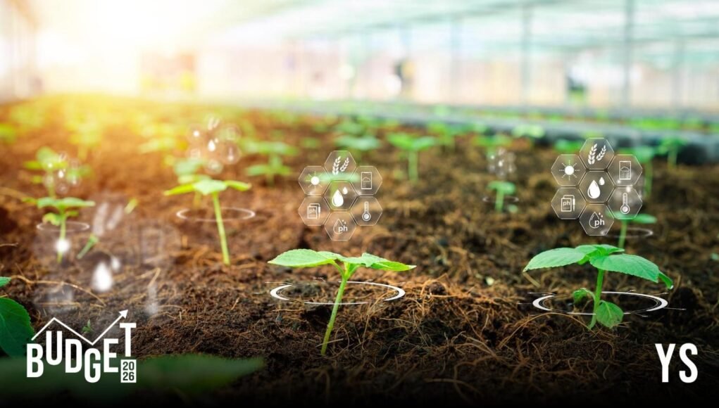 Union Budget 2026: Govt sharpens focus on farmer income, fisheries, and high-value crops