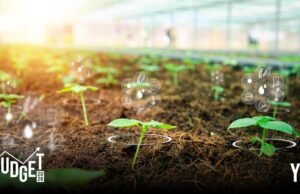 Union Budget 2026: Govt sharpens focus on farmer income, fisheries, and high-value crops