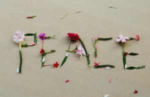 Why valuing peace over productivity changes everything