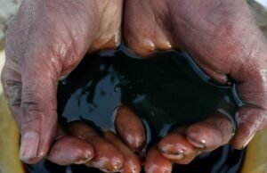 India will import oil from non-sanctioned, cost-effective sources, officials tell MPs